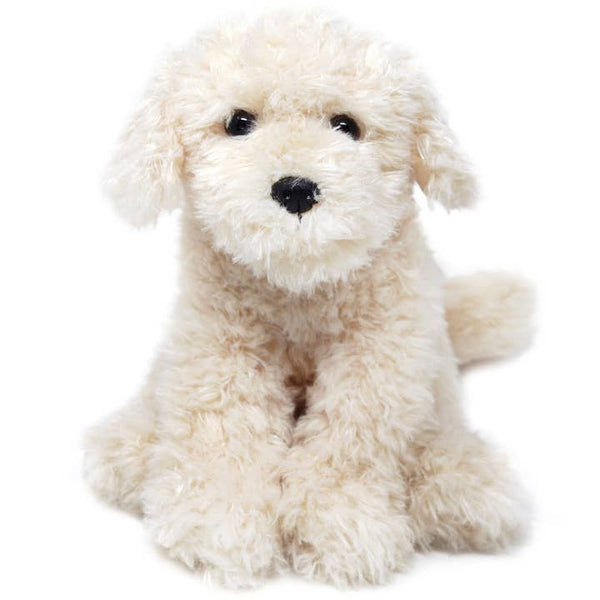 Luke the Labradoodle