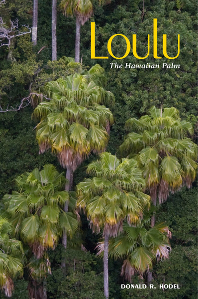 Loulu: The Hawaiian Palm
