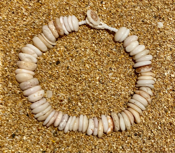 Kauai Puka Shell Bracelet, Large